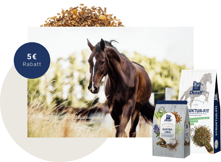 newsletter derby anmeldung 5euro rabatt